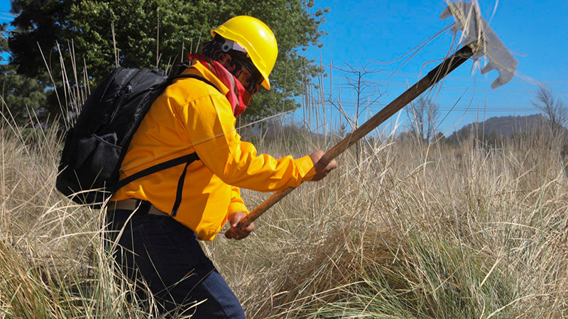 Bajo control y sin riesgos, incendios forestales: Bedolla