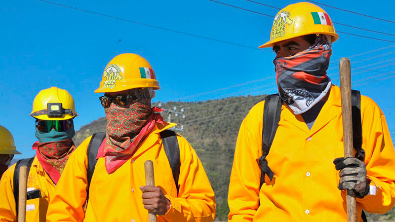 Bajo control y sin riesgos, incendios forestales: Bedolla