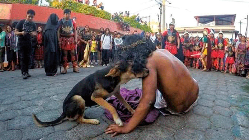 Guatemala: Perrito consuela a actor que interpretó a Jesús en la Pasión de Cristo 