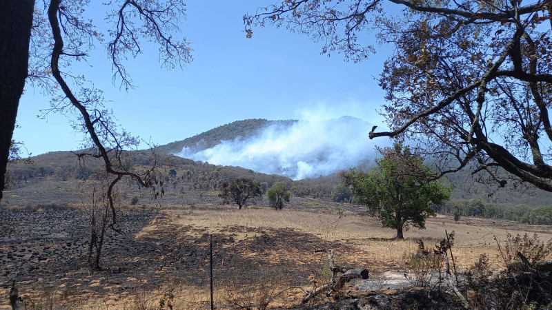 Combaten por tierra y aire reactivación de incendio forestal en cerro del Águila