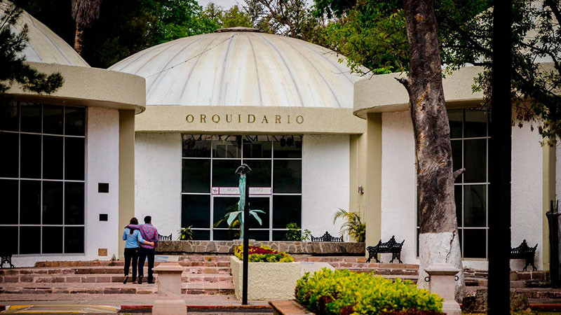 Esta Semana Santa visita el Orquidario de Morelia y conoce más de 200 ejemplares