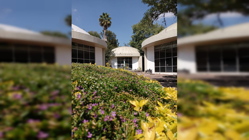 Esta Semana Santa visita el Orquidario de Morelia y conoce más de 200 ejemplares