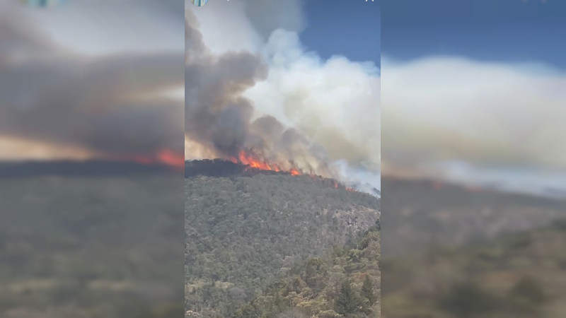 Brigadistas atienden incendio forestal en Tlalpujahua; se combaten 11 en el estado 