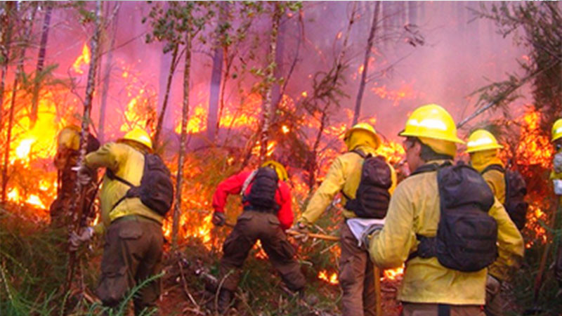 Suman 5 brigadistas muertos en incendios forestales, en Estado de México 