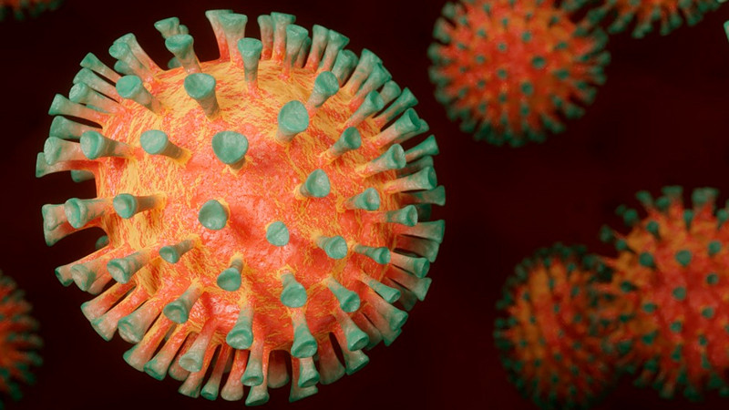 En Texas, detectan primer caso en humanos de gripe aviar H5N1 
