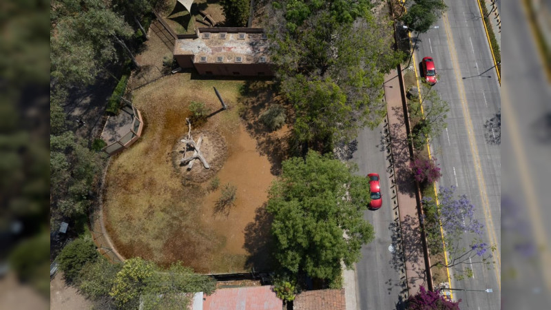 OOAPAS quiere deslindarse de inundación en el Zoo, pero ellos derramaron lodos tóxicos: director del parque