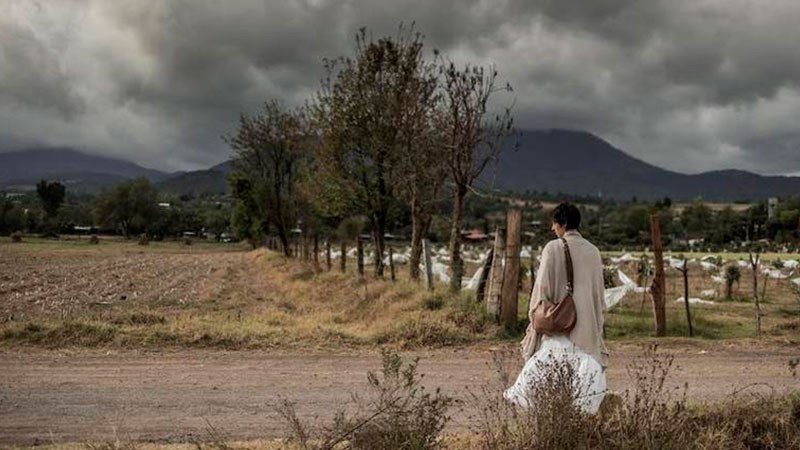 El Festival Internacional de Cine de Morelia presenta el proyecto Cine para todxs 2024 