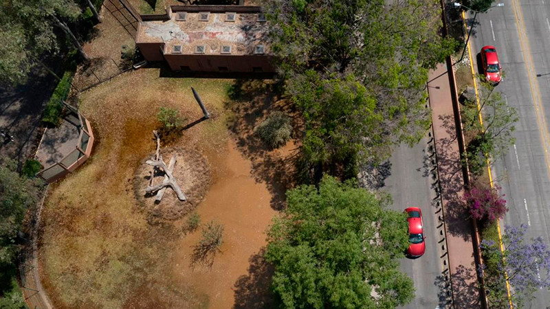 ¡Emergencia! Animales del Zoo de Morelia en peligro por agua contaminada vertida por el OOAPAS