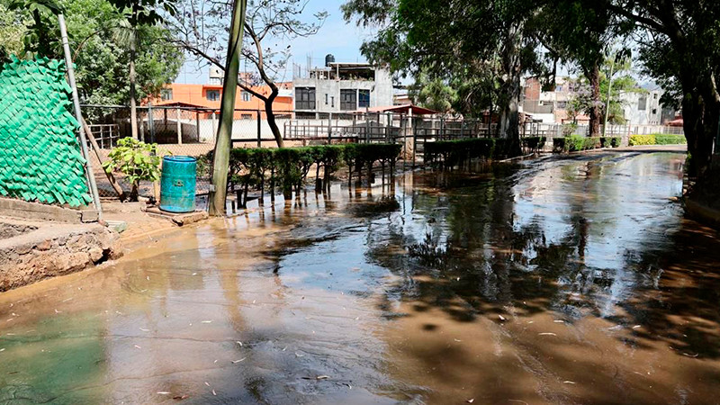¡Emergencia! Animales del Zoo de Morelia en peligro por agua contaminada vertida por el OOAPAS