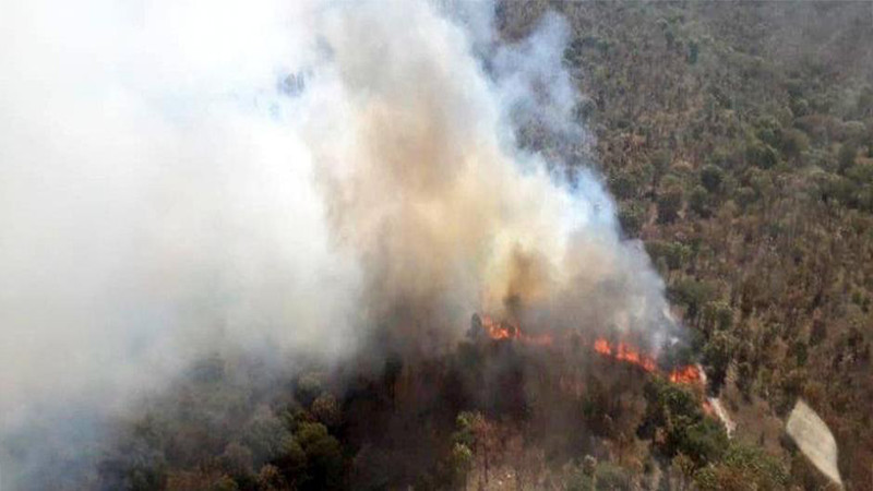 Familias triquis piden ayuda para sofocar incendio que lleva cinco días en la Mixteca de Oaxaca 