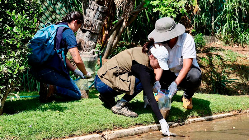 Agua y lodo vertidos por el OOAPAS en el Zoo de Morelia podrían tener hierro y azufre