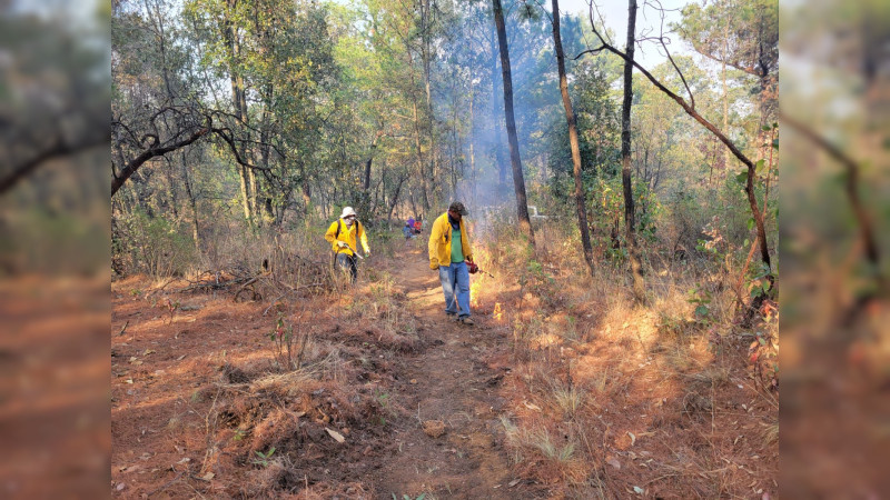 Controlado el incendio forestal en la Reserva de la Monarca