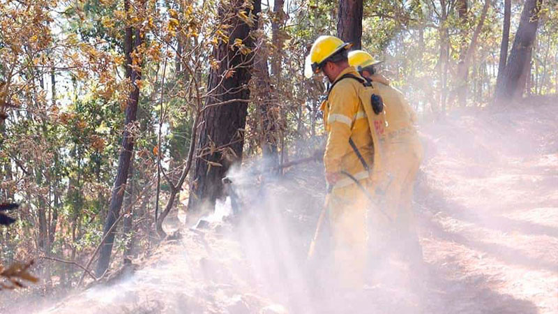 Controlan seis incendios forestales en Hidalgo 