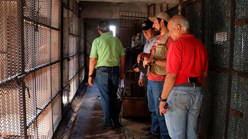   FGE, Profepa y Coepris revisan afectaciones por el OOAPAS en el Zoo de Morelia