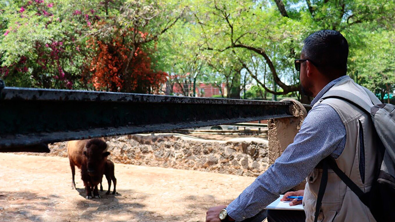   FGE, Profepa y Coepris revisan afectaciones por el OOAPAS en el Zoo de Morelia