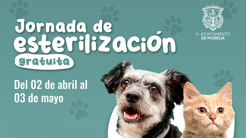 Gobierno de Morelia invita a Jornada de esterilización para mascotas 