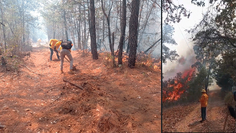 Atienden incendio en Charo; apagan uno en Chinicuila y controlan 2 en Coalcomán y Aguililla 