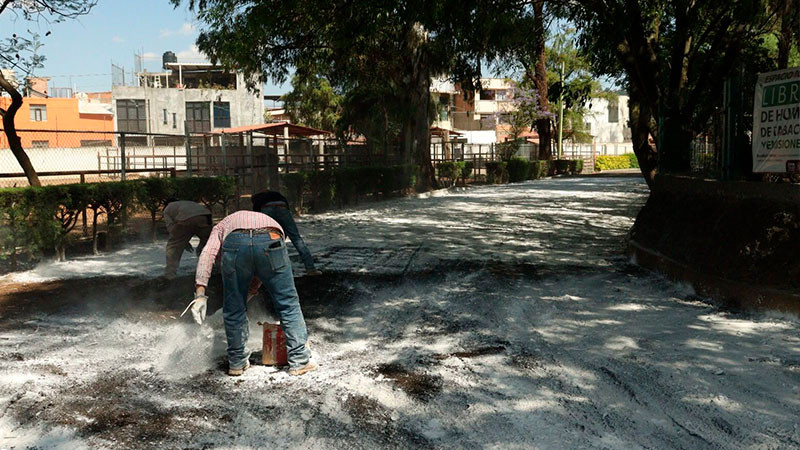 Previene Zoo de Morelia riesgo sanitario por inundación con lodos; se realizó encalado