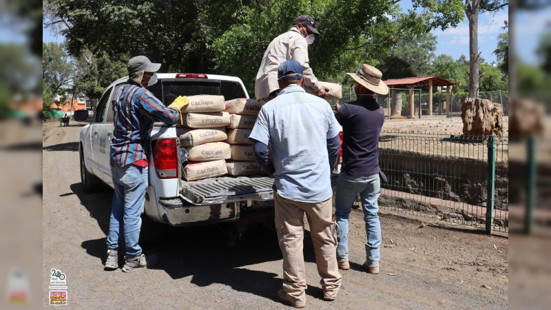 Previene Zoo de Morelia riesgo sanitario por inundación con lodos; se realizó encalado