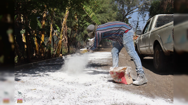 Previene Zoo de Morelia riesgo sanitario por inundación con lodos; se realizó encalado