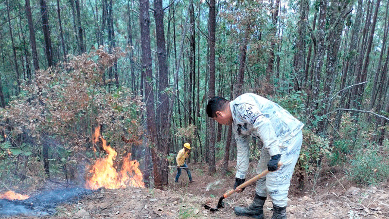  Tamaulipas: Aplican Plan ND-III-E y Plan GN-A por incendio en El Mante 