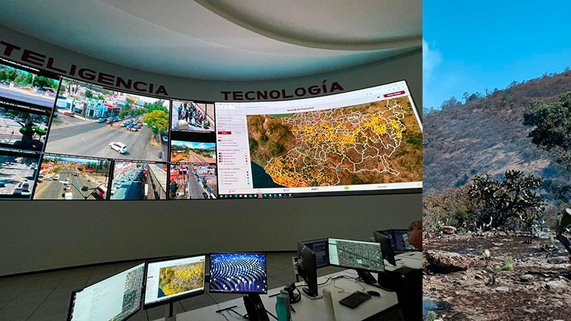 Guardián Forestal vigila zonas afectadas por incendios forestales 