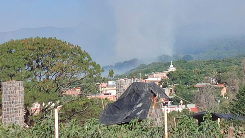 Brigadistas de Uruapan, Michoacán atienden incendio forestal  