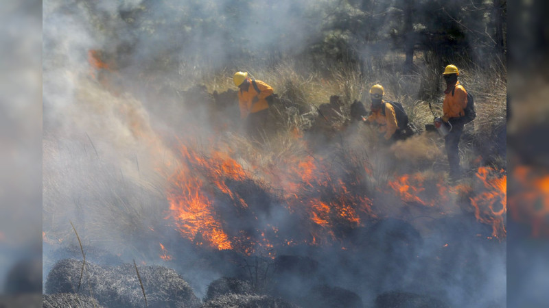 ¿Quieres reportar un incendio forestal? Llama a estos números 