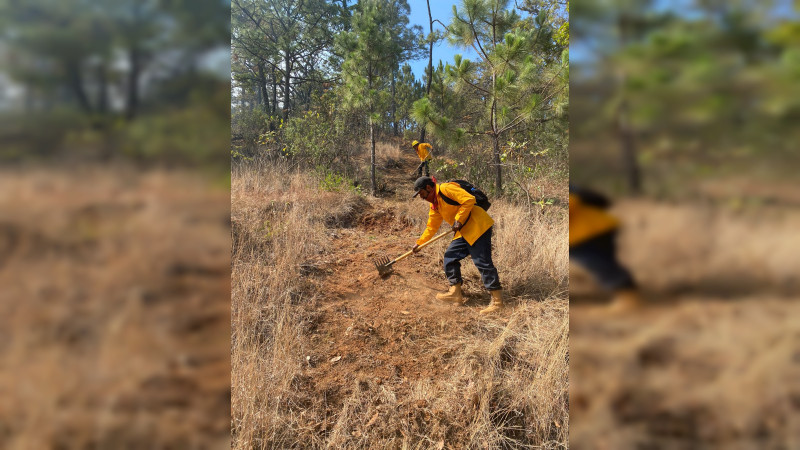 Combatientes apagan incendio forestal en Chinicuila y controlan 5 más en Michoacán