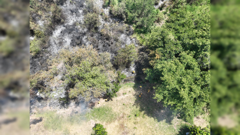 Combatientes apagan incendio forestal en Chinicuila y controlan 5 más en Michoacán