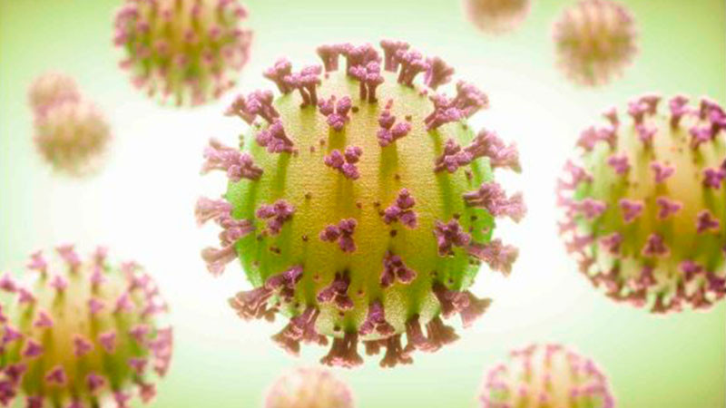 Covid-19, un desafío que debemos enfrentar juntos: expertas  