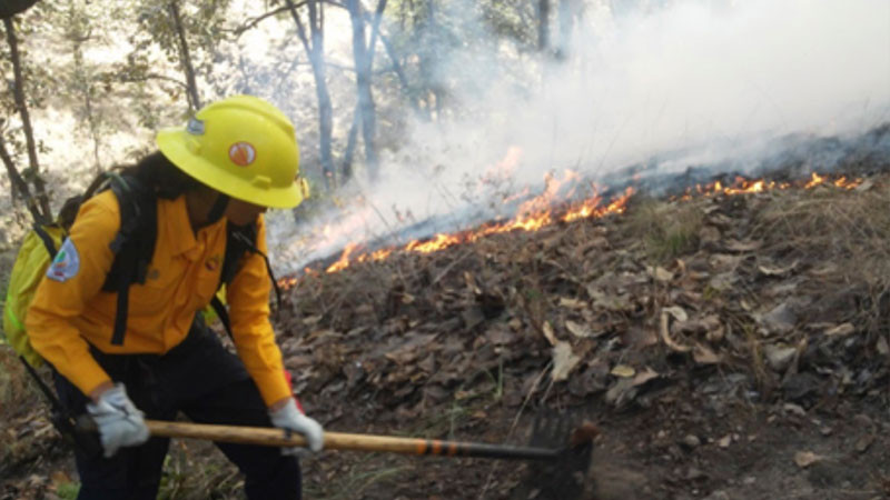 Activos, 73 incendios forestales en todo el país 