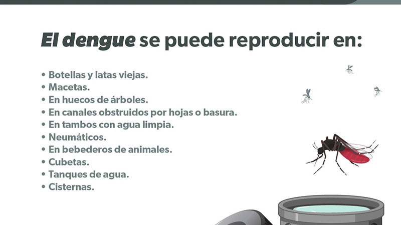 Secretaría de Salud de Michoacán insta a identificar los síntomas del dengue para pedir atención médica inmediata 