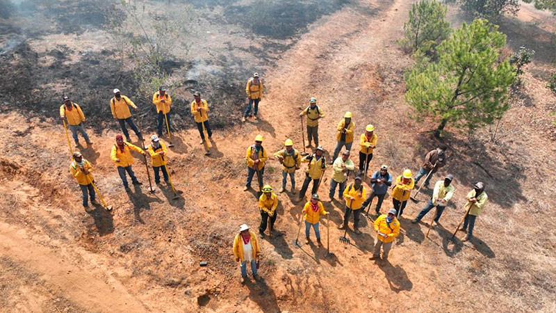 Brigadistas apagan 7 incendios en Michoacán