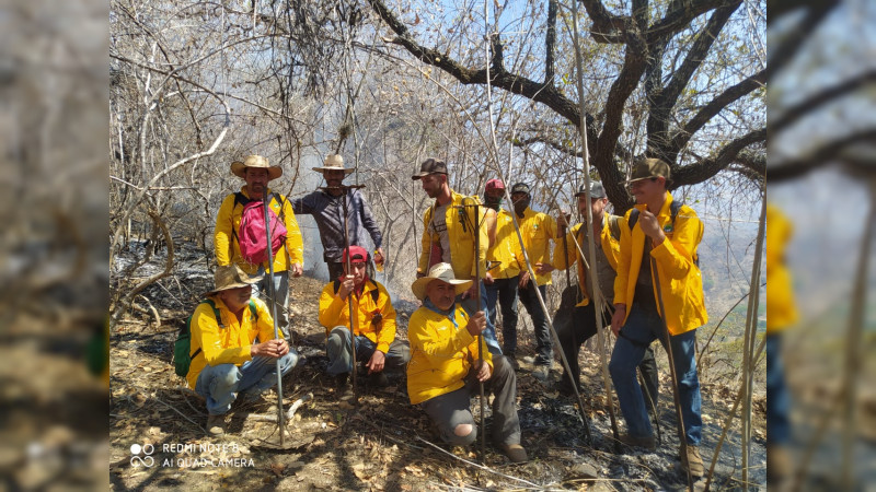 Brigadistas apagan 7 incendios en Michoacán