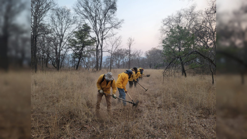 Brigadistas apagan 7 incendios en Michoacán