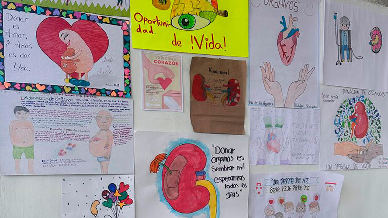 Activistas reportan que en 2023 hubo 75 trasplantes de órganos en Querétaro  