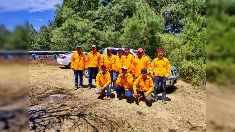 Refuerzan brigadas para combatir incendios forestales en Michoacán