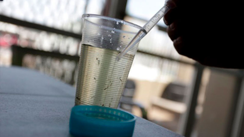 Agua contaminada en Benito Juárez tiene derivados de petróleo, confirma estudio  