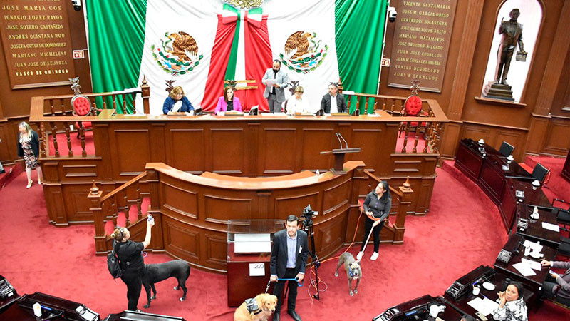 Congreso de Michoacán aprueba regulación para el uso de pirotecnia 