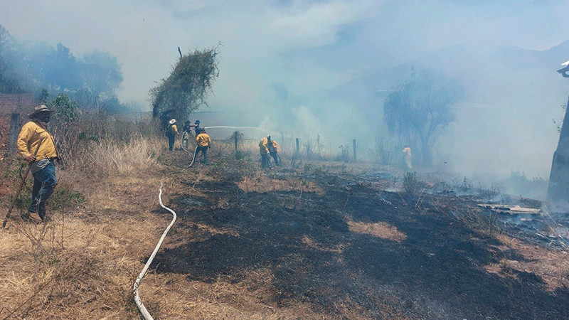 Brigadistas apagan incendio forestal en Madero y controlan 2 en Los Reyes y Ario