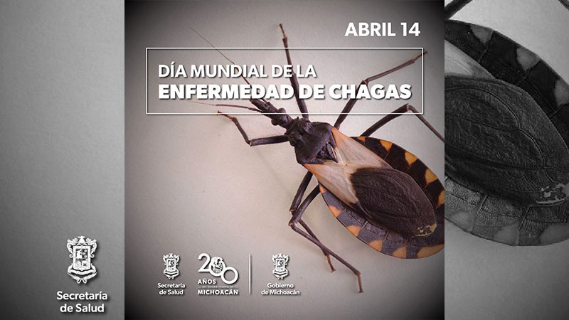 Secretaría de Salud de Michoacán hace diagnóstico sin costo de la enfermedad de Chagas 