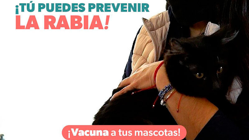 Secretaría de Salud de Michoacán emite recordatorio de que la rabia puede prevenirse con la vacunación 