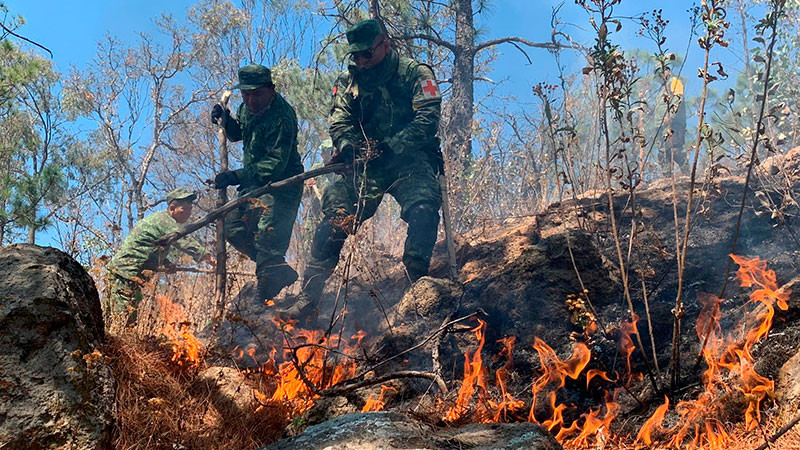 Hay 68 incendios activos en México en 16 estados; tres de ellos en Michoacán 