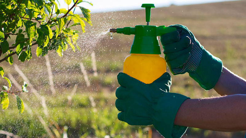 Deben agroquímicos verse como “la medicina del campo”, según UMFFAAC 