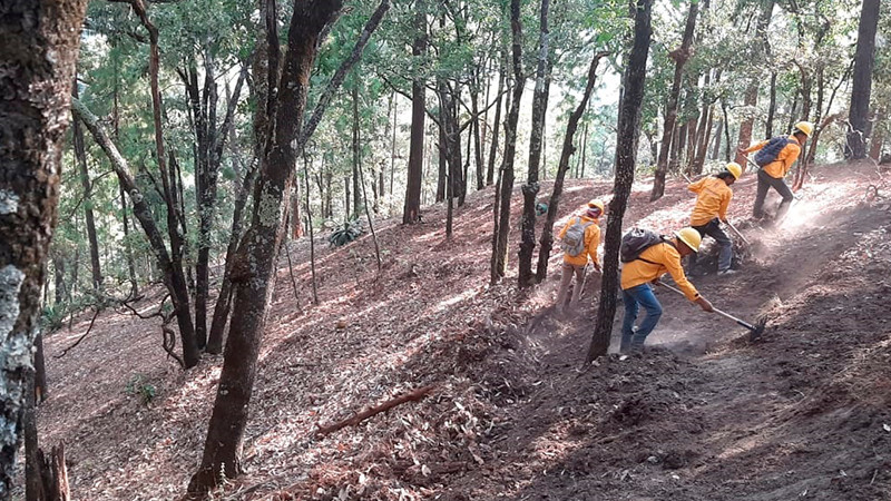  Brigadistas atienden 2 incendios forestales en Coalcomán-Chinicuila y Erongarícuaro
