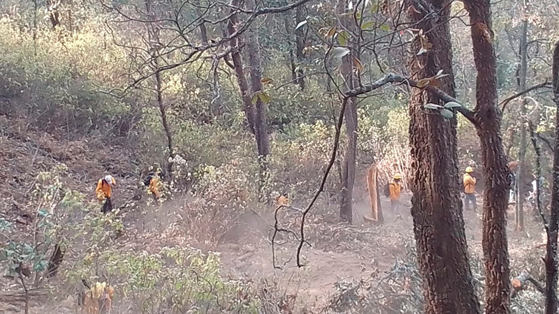  Brigadistas atienden 2 incendios forestales en Coalcomán-Chinicuila y Erongarícuaro