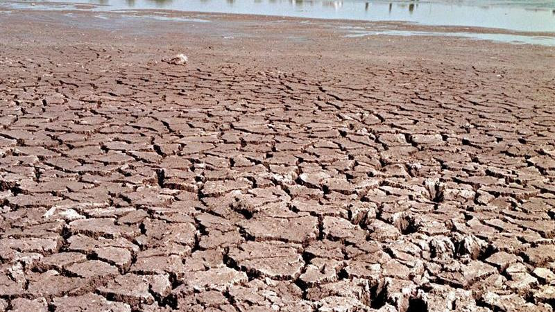 Sequía arrasa con Parque Sierra Morelos, en Toluca 