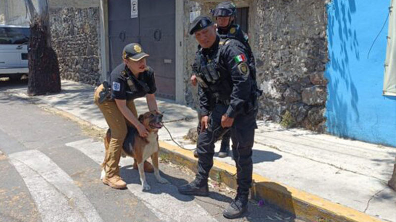 Rescatan a ocho perros tras explosión en vivienda de Tlalpan 