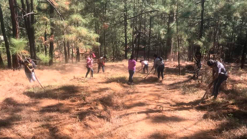 Estudiantes del Cecytem Tacámbaro dan mantenimiento a brechas cortafuego